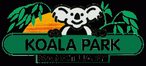 Koala Park Sanctuary - Accommodation Brunswick Heads